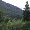DSCF2071