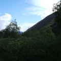 DSCF2073