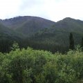 DSCF2075