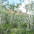 DSCF2076