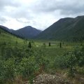 DSCF2077