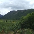 DSCF2078